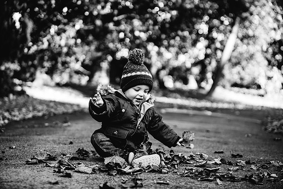 Logan - Family Portraits - Longton Park - Staffordshire Photographer-187