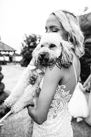 Sandhole Oak Barn Wedding Photography - Caitlin & Shane-668