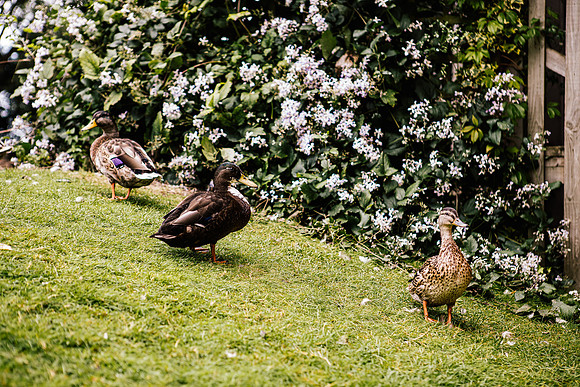 Jane & David - Gift Of A Wedding - Moat House Acton Trussell-10