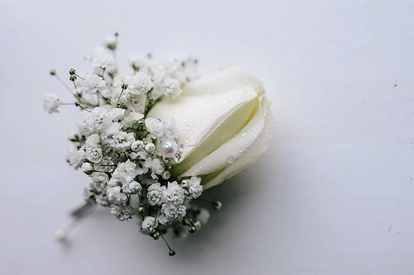 Image 0036