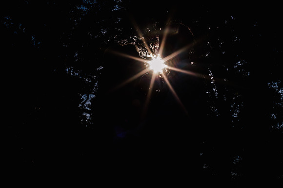 The Oak Tree Of Peover Wedding Photography - Cheshire Wedding Photographer-949