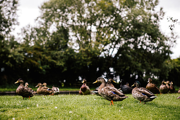 Jane & David - Gift Of A Wedding - Moat House Acton Trussell-5