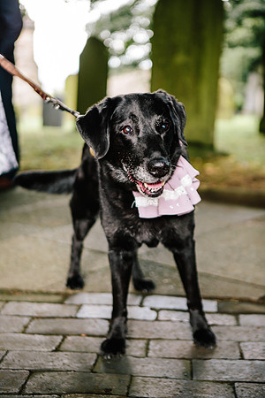 Staffordshire Wedding Photographer - Samantha Jayne Photography - Gem & Jack-268