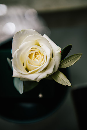 Weston Hall Wedding Photography - Alice & Josh-77