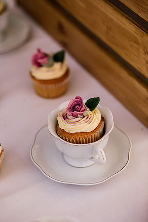 Beckford Inn Wedding Photography - Claire & Stephen-639