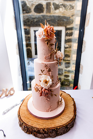 Talhenbont Hall Wedding Photography - Tammy & Lee-167