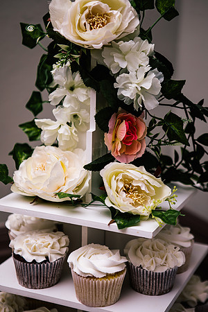 Jane & David - Gift Of A Wedding - Moat House Acton Trussell-246