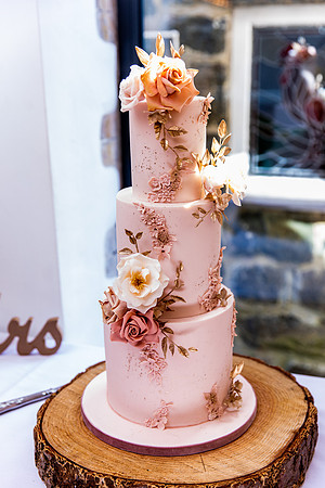 Talhenbont Hall Wedding Photography - Tammy & Lee-79