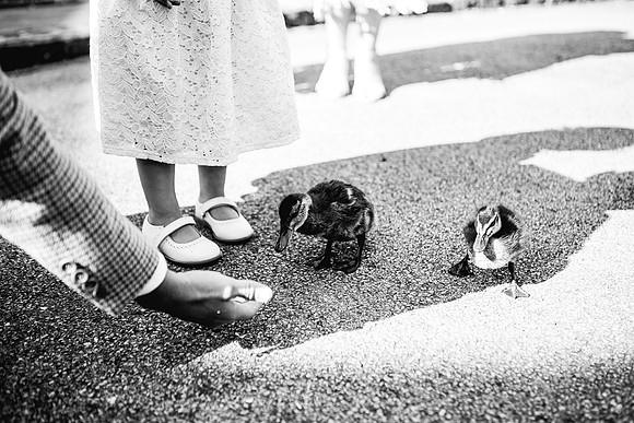Jane & David - Gift Of A Wedding - Moat House Acton Trussell-221