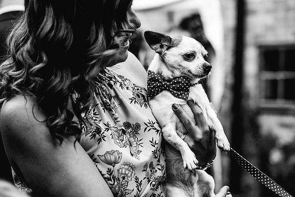 Best Wedding Photography - Staffordshire Wedding Photographer-249