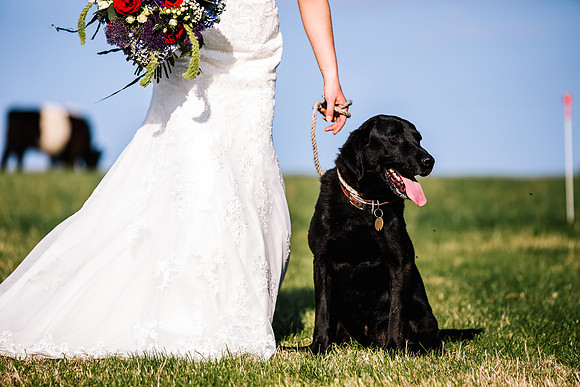 Staffordshire Moorlands Wedding Photography -  Lisa & Andy-779