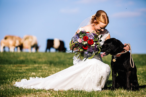 Staffordshire Moorlands Wedding Photography -  Lisa & Andy-780