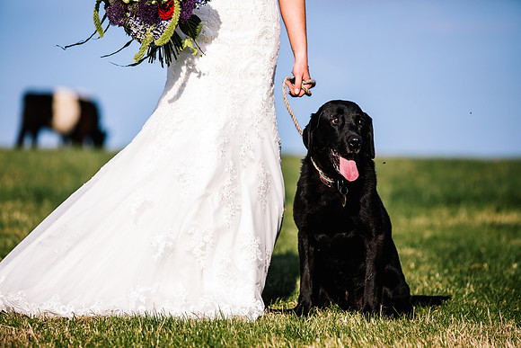 Staffordshire Moorlands Wedding Photography -  Lisa & Andy-778
