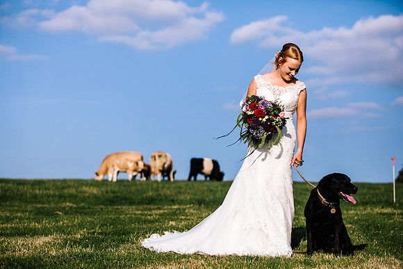 Staffordshire Moorlands Wedding Photography -  Lisa & Andy-774