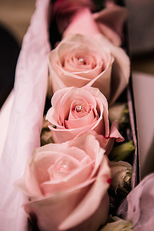 Moddershall Oaks Wedding Photography - Staffordshire Wedding Photographer - Nicky & Tom-83
