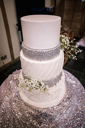 The Oak Tree Of Peover Wedding Photography - Nikki & Tom.-158