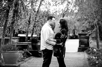 Trentham Gardens Engagement Shoot - Staffordshire Wedding Photographer. -2