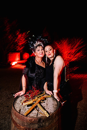 Staffordshire Event Photography - Cringleford Gothic Fairytale New Years Eve Party.-264