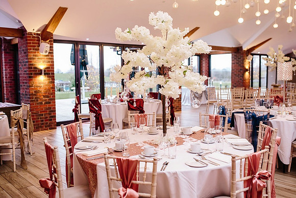 Aston Marina Wedding open Day0147