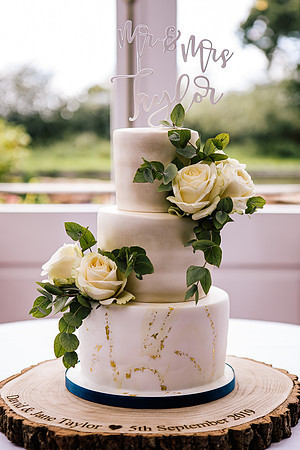 Jane & David - Gift Of A Wedding - Moat House Acton Trussell-11
