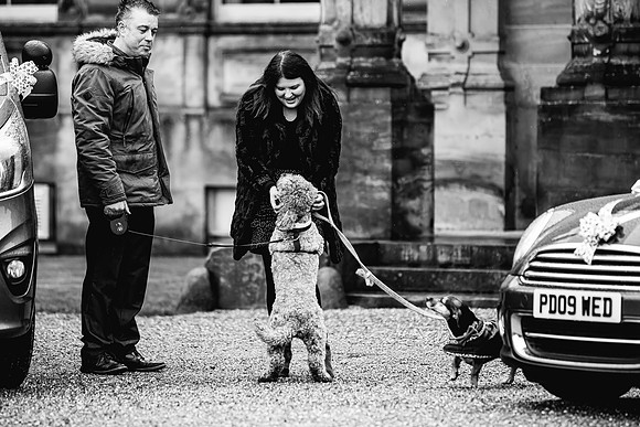 Precious Pets Weddings_Brand Shoot-275