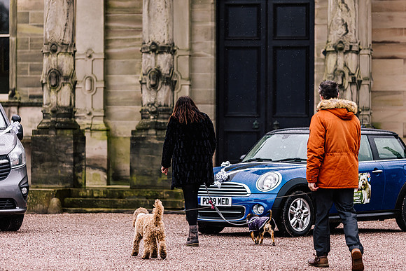 Precious Pets Weddings_Brand Shoot-262