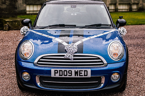 Precious Pets Weddings_Brand Shoot-134