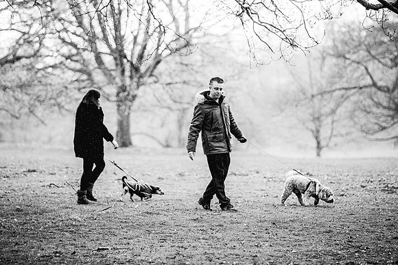 Precious Pets Weddings_Brand Shoot-234
