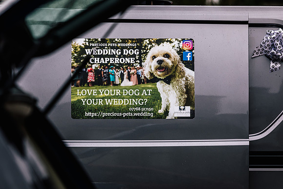 Precious Pets Weddings_Brand Shoot-140