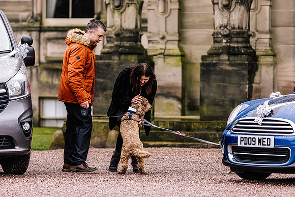 Precious Pets Weddings_Brand Shoot-266