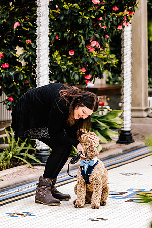 Precious Pets Weddings_Brand Shoot-182