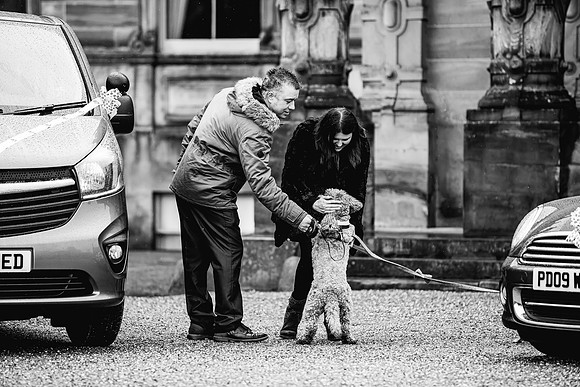 Precious Pets Weddings_Brand Shoot-269