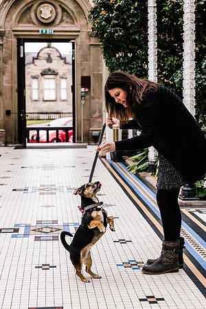 Precious Pets Weddings_Brand Shoot-24