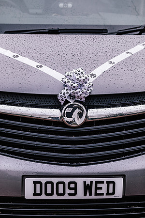 Precious Pets Weddings_Brand Shoot-138