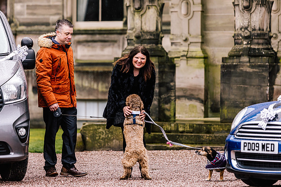 Precious Pets Weddings_Brand Shoot-274