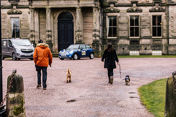 Precious Pets Weddings_Brand Shoot-259
