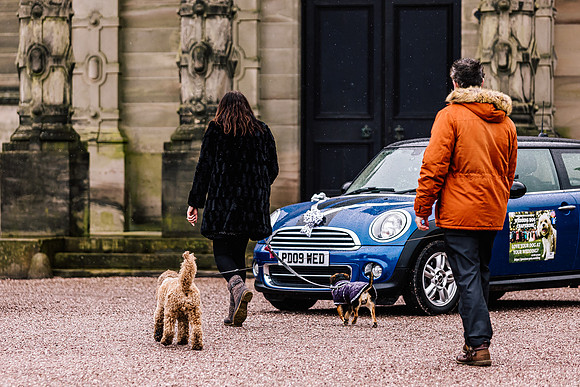 Precious Pets Weddings_Brand Shoot-263