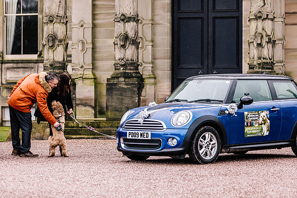 Precious Pets Weddings_Brand Shoot-273