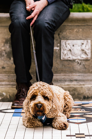 Precious Pets Weddings_Brand Shoot-19