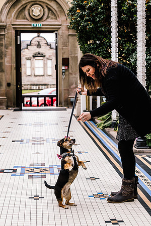Precious Pets Weddings_Brand Shoot-25