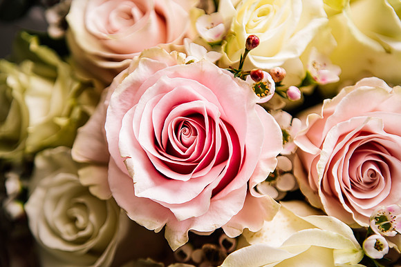 Shottle Hall Wedding Photographer - Samantha Jayne Photography-13