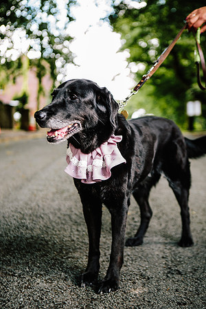 Staffordshire Wedding Photographer - Samantha Jayne Photography - Gem & Jack-259