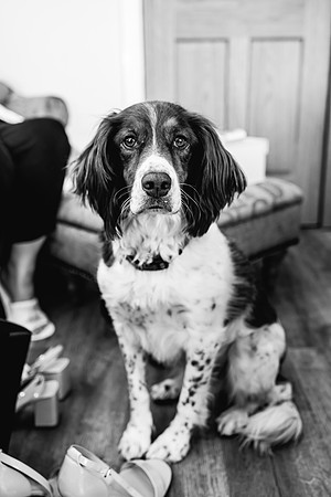 Alcumlow Wedding Barn - Cheshire Wedding Photographer-46