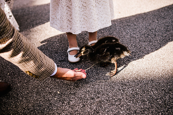 Jane & David - Gift Of A Wedding - Moat House Acton Trussell-218