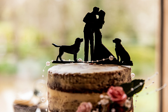Lucy & Tom - Mill Barns Wedding Photography-427