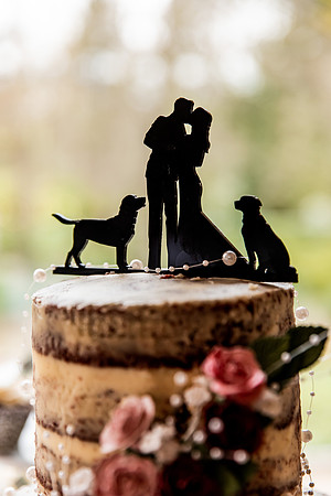 Lucy & Tom - Mill Barns Wedding Photography-428