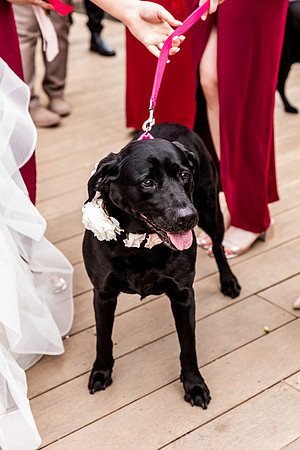 Lucy & Tom - Mill Barns Wedding Photography-443