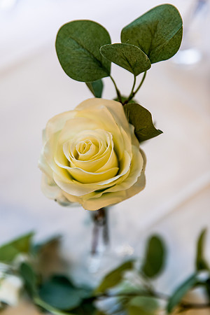 Foxtail Barns Wedding Photography - Kerry & Andy-110
