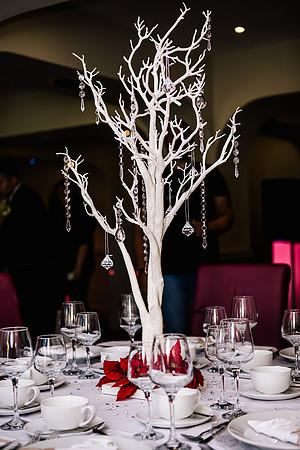 Staffordshire Wedding Photographer - The Mill at Stone-391