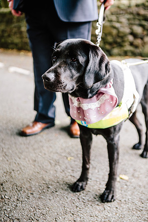 Staffordshire Wedding Photographer - Samantha Jayne Photography - Gem & Jack-258